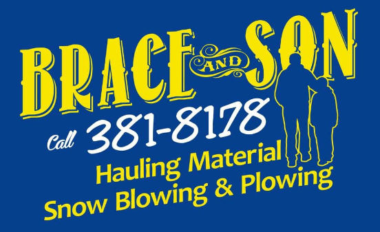 Brace and Sons Enterprises