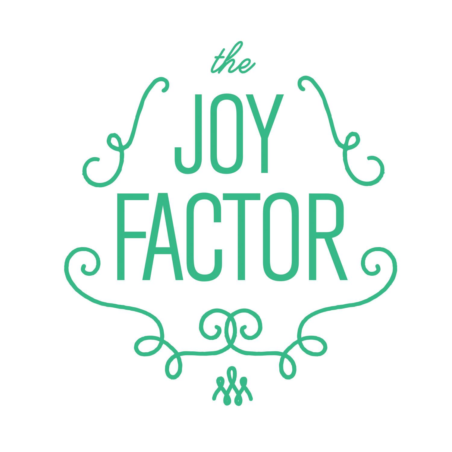 The Joy Factor Cleaning/Concierge