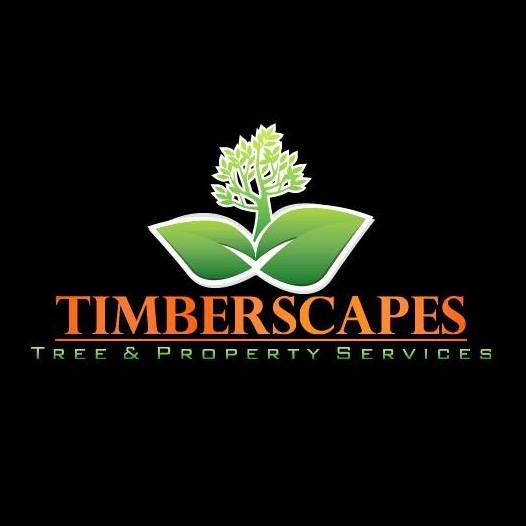 Timberscapes