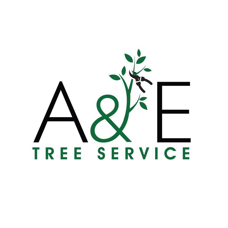 A and E Tree Service