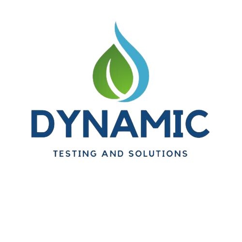 Dynamic Testing & Solutions