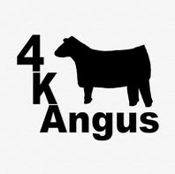 4K Angus