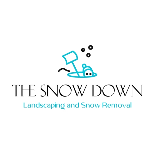 The Snow Down