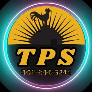 Turner Property Services