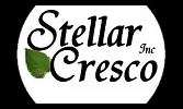 Stellar Vision Projects / Stellar Cresco