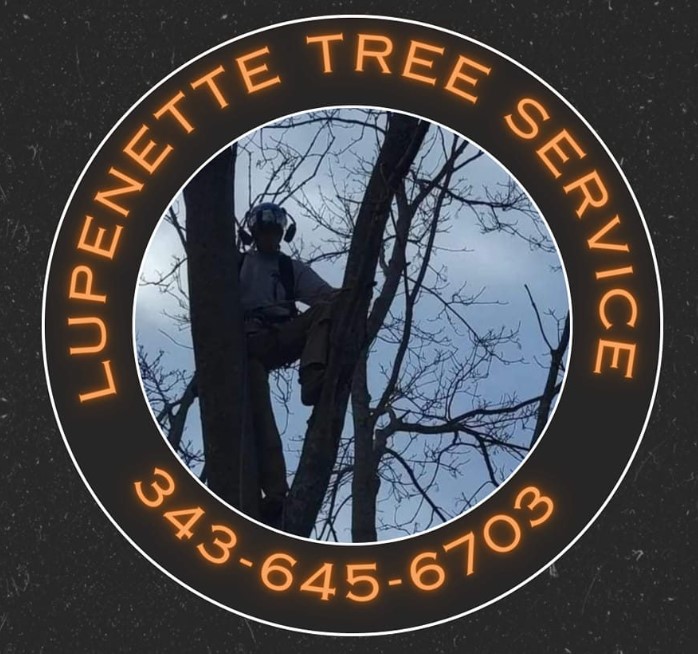 Lupenette Tree Service