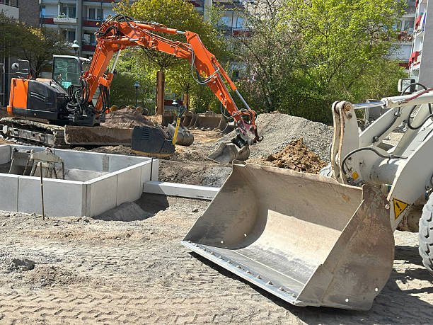 Brazil Lake Enterprises Ltd.